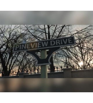 Pineview Drive Steam Key EUROPE